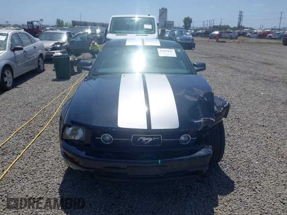 2006 Ford Mustang Standard with VIN 1ZVFT80N065182187, listed as a IAAI auction lot 42453637 with Not provided miles and . Bid and sale history available at DreamBid. Image 13.