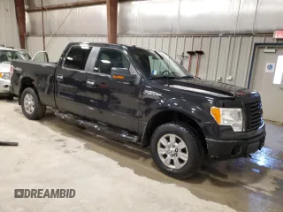 2010 Ford F-150 XL with VIN 1FTFW1EV6AFA11876, listed as a Copart auction lot 47563355 with 224,151 mi miles and Non Repairable. Bid and sale history available at carsss.com. Image 4.