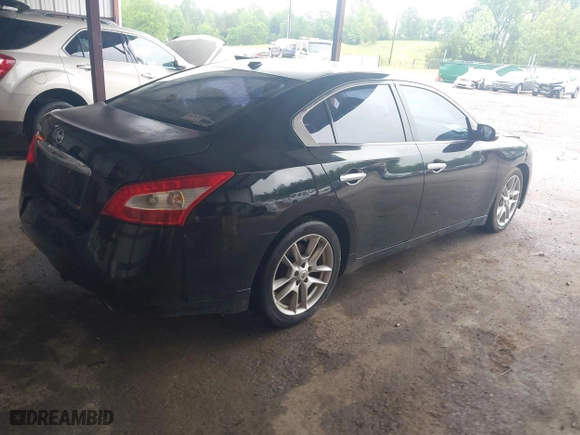 2011 Nissan Maxima 3.5 SV with VIN 1N4AA5AP0BC800525, listed as a IAAI auction lot 41969757 with 212,919 mi miles. Bid and sale history available at carsss.com. Image 4.