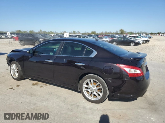 2011 Nissan Maxima SV с VIN 1N4AA5AP7BC835000, выставлен на аукционе Copart как лот 53193675 с пробегом 145 343 миль миль и Списание • Salvage title. История ставок и продаж доступна на DreamBid. Изображение 2.