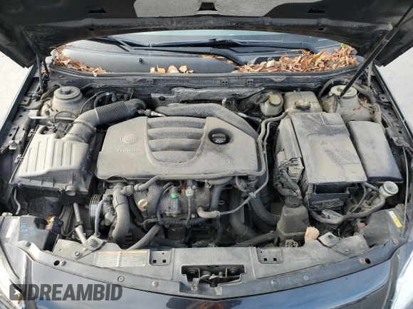2011 Buick Regal CXL Turbo TO3 with VIN W04GX5GV8B1042254, listed as a Copart auction lot 80002624 with 204,407 mi miles and Salvage Title. Bid and sale history available at carsss.com. Image 11.