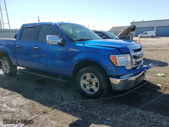 2013 Ford F-150 XL with VIN 1FTEW1CM4DFC15215, listed as a Copart auction lot 48983375 with 205,081 mi miles and Salvage Title. Bid and sale history available at carsss.com. Image 13.