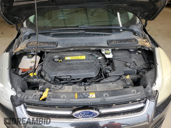 2013 Ford Escape SEL with VIN 1FMCU0HX1DUB83342, listed as a Copart auction lot 52482145 with 123,702 mi miles and Salvage Title. Bid and sale history available at carsss.com. Image 12.
