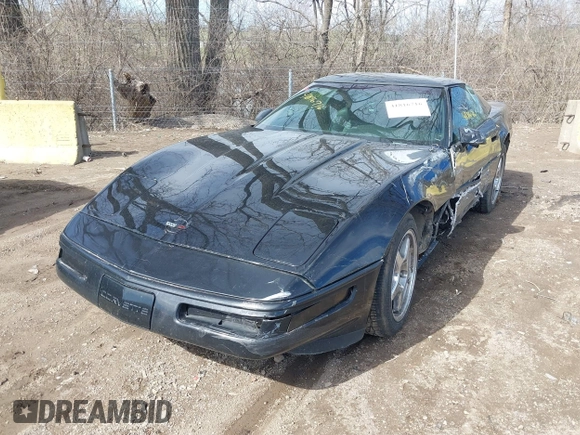 1995 Chevrolet Corvette z VIN 1G1YY22P1S5118252, wystawiony jako IAAI lot #41816716 z przebiegiem 143 210 mil mil oraz . Historia ofert i sprzedaży dostępna na DreamBid. Obrazek 17.