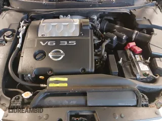 2006 Nissan Maxima 3.5 SE with VIN 1N4BA41E86C852083, listed as a IAAI auction lot 41677569 with 95,145 mi miles. Bid and sale history available at carsss.com. Image 10.