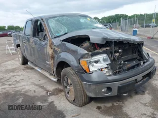 2012 Ford F-150 XL with VIN 1FTFW1ET5CFB55193, listed as a IAAI auction lot 42446598 with 132,596 mi miles and . Bid and sale history available at DreamBid. Image 1.