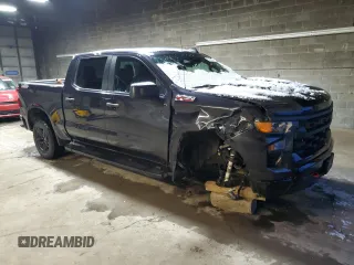 2022 Chevrolet Silverado 1500 Custom Trail Boss with VIN 3GCPDCED9NG673954, listed as a Copart auction lot 84696954 with 31,744 mi miles and Salvage Title. Bid and sale history available at DreamBid. Image 4.