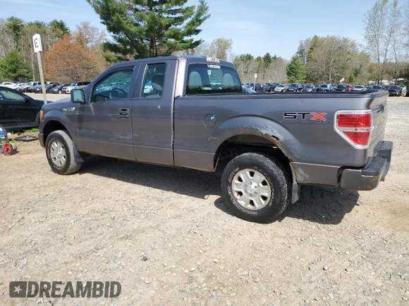 2010 Ford F-150 XL with VIN 1FTEX1EW6AFA56656, listed as a Copart auction lot 54382045 with 144,342 mi miles and Clean Title. Bid and sale history available at carsss.com. Image 2.