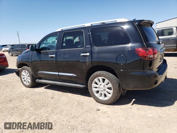 2019 Toyota Sequoia Platinum with VIN 5TDDY5G11KS166047, listed as a Copart auction lot 52504674 with 40,393 mi miles. Bid and sale history available at carsss.com. Image 2.