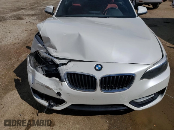 2017 BMW 2 Series 230i with VIN WBA2K9C30HV647460, listed as a Copart auction lot 44134373 with 71,111 mi miles. Bid and sale history available at carsss.com. Image 11.