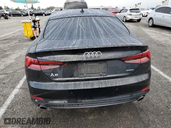2019 Audi A5 Sportback Premium Plus with VIN WAUENCF54KA028874, listed as a Copart auction lot 48517763 with 53,105 mi miles. Bid and sale history available at carsss.com. Image 6.