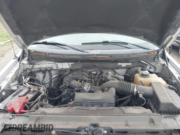 2011 Ford F-150 XL with VIN 1FTEW1CM4BFD22228, listed as a IAAI auction lot 42462810 with 123,674 mi miles and . Bid and sale history available at DreamBid. Image 10.
