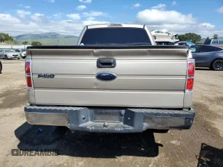 2010 Ford F-150 XL with VIN 1FTEW1C87AKA25821, listed as a Copart auction lot 49008285 with Not Provided miles and Salvage Title. Bid and sale history available at carsss.com. Image 6.