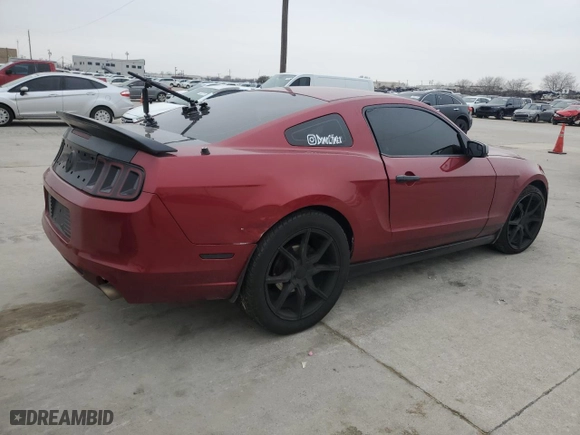 2014 Ford Mustang V6 with VIN 1ZVBP8AM6E5213837, listed as a Copart auction lot 44207515 with 205,248 mi miles and Clean Title. Bid and sale history available at carsss.com. Image 3.