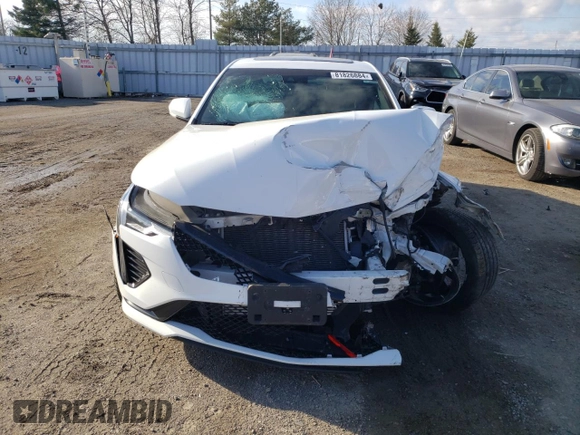 2021 Cadillac CT4 V-Series z VIN 1G6DH5RL4M0133177, wystawiony jako Copart lot #81826884 z przebiegiem 66 328 mil mil oraz Szkoda całkowita • Salvage title. Historia ofert i sprzedaży dostępna na DreamBid. Obrazek 5.