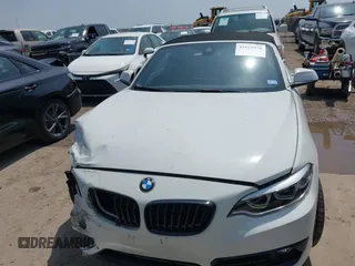 2019 BMW 2 Series 230i with VIN WBA2M7C56KVD52017, listed as a IAAI auction lot 41922976 with 42,194 mi miles and . Bid and sale history available at carsss.com. Image 13.