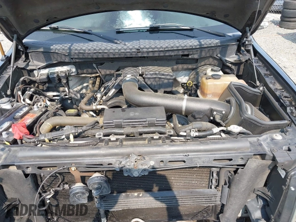 2009 Ford F-150 XL with VIN 1FTPX14V79FA43136, listed as a IAAI auction lot 42368127 with Not provided miles and . Bid and sale history available at DreamBid. Image 10.