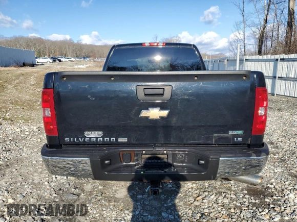 2010 Chevrolet Silverado 1500 LS with VIN 1GCSKREA4AZ163482, listed as a Copart auction lot 84028464 with 108,989 mi miles and Clean Title. Bid and sale history available at DreamBid. Image 6.