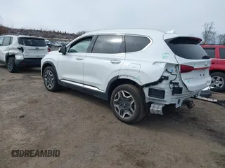 2023 Hyundai Santa Fe Limited with VIN 5NMS4DAL0PH497767, listed as a IAAI auction lot 41578381 with 31,011 mi miles and . Bid and sale history available at DreamBid. Image 3.