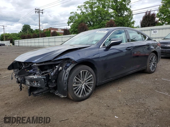 2022 Lexus ES 250 with VIN 58AD11D10NU009079, listed as a Copart auction lot 58255704 with 24,782 mi miles and Non repairable. Bid and sale history available at DreamBid. Image 1.