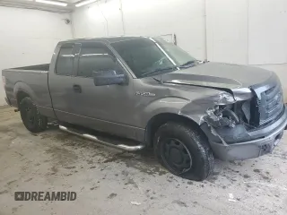 2010 Ford F-150 XL with VIN 1FTEX1CW0AFB44606, listed as a Copart auction lot 56570045 with 166,448 mi miles and Salvage title. Bid and sale history available at DreamBid. Image 4.
