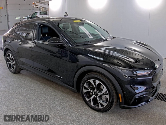 2024 Ford Mustang Mach-E Select with VIN 3FMTK1R41RMA41844, listed as a IAAI auction lot 42791459 with 2,674 mi miles and . Bid and sale history available at DreamBid. Image 21.