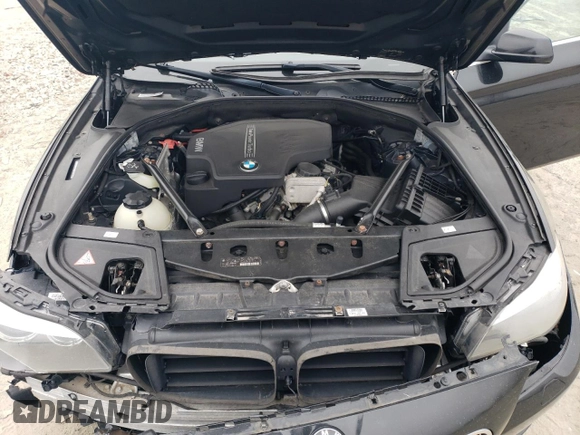 2013 BMW 5 Series 528i xDrive with VIN WBAXH5C50DD113325, listed as a Copart auction lot 49033955 with 119,446 mi miles and Salvage Title. Bid and sale history available at carsss.com. Image 11.