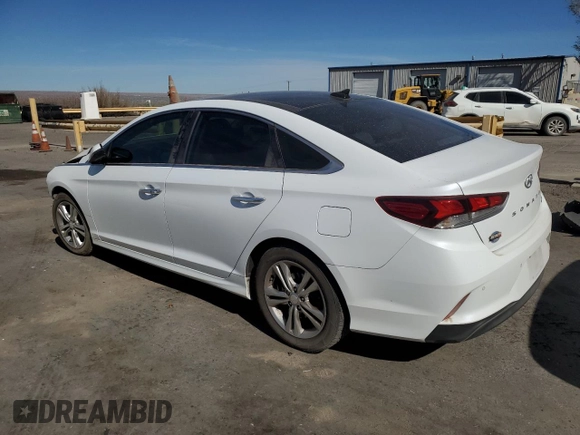 2019 Hyundai Sonata SEL with VIN 5NPE34AF5KH738048, listed as a Copart auction lot 49234445 with 62,075 mi miles and Salvage Title. Bid and sale history available at DreamBid. Image 2.