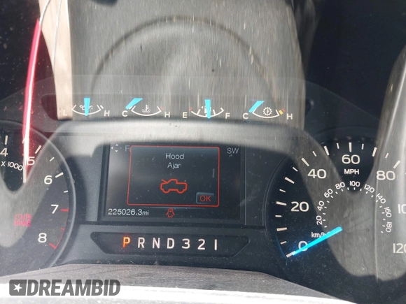 2017 Ford F-150 XL с VIN 1FTMF1C88HFA30489, выставлен на аукционе IAAI как лот 42481244 с пробегом 225 026 миль миль и . История ставок и продаж доступна на DreamBid. Изображение 7.