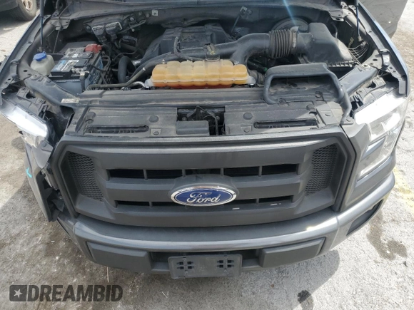 2017 Ford F-150 XL z VIN 1FTMF1CP5HKE20321, wystawiony jako Copart lot #57850035 z przebiegiem 179 640 mil mil oraz Szkoda całkowita • Salvage title. Historia ofert i sprzedaży dostępna na DreamBid. Obrazek 11.