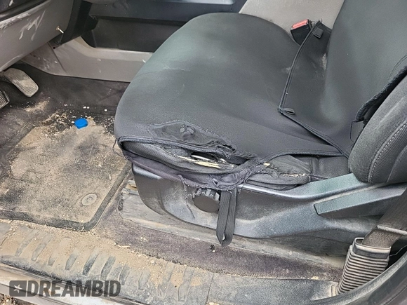 2017 Ford F-150 XL with VIN 1FTEW1EPXHKC33643, listed as a IAAI auction lot 42621248 with 55,893 mi miles and . Bid and sale history available at DreamBid. Image 18.