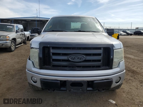 2010 Ford F-150 XL with VIN 1FTEX1EW1AFA91959, listed as a Copart auction lot 48774095 with 308,100 mi miles and Salvage Title. Bid and sale history available at carsss.com. Image 5.