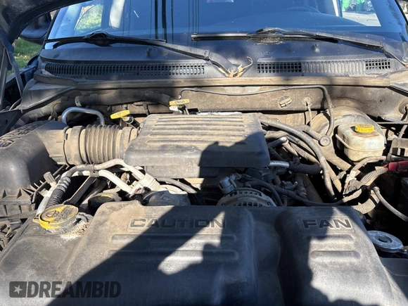 2002 Dodge Durango z VIN 1B4HR48N52F109342, wystawiony jako Copart lot #57185665 z przebiegiem 241 245 mil mil oraz Czysty tytuł • Clean title. Historia ofert i sprzedaży dostępna na DreamBid. Obrazek 7.