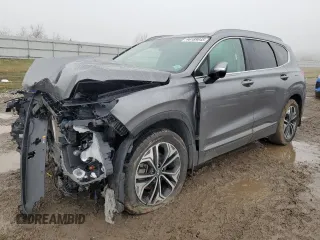 2020 Hyundai Santa Fe Limited with VIN 5NMS53AA2LH148089, listed as a Copart auction lot 46189045 with 117,284 mi miles and Salvage Title. Bid and sale history available at carsss.com. Image 1.