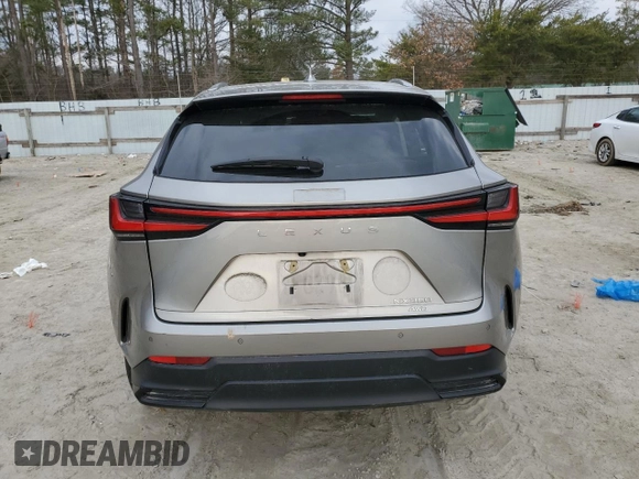 2023 Lexus NX with VIN 2T2GGCEZ9PC028460, listed as a Copart auction lot 46922105 with 31,209 mi miles and Salvage Title. Bid and sale history available at carsss.com. Image 6.