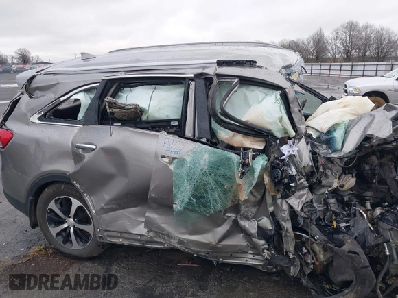 2017 Kia Sorento EX V6 with VIN 5XYPH4A5XHG289550, listed as a IAAI auction lot 41557357 with 1 mi miles. Bid and sale history available at carsss.com. Image 11.