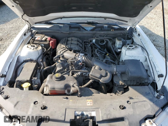 2012 Ford Mustang Premium with VIN 1ZVBP8AMXC5256770, listed as a Copart auction lot 63042445 with 101,849 mi miles and Salvage title. Bid and sale history available at DreamBid. Image 11.