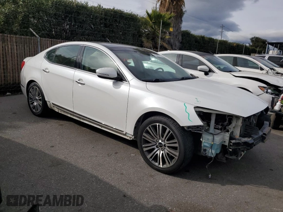 2014 Kia Cadenza Premium with VIN KNALN4D71E5132155, listed as a Copart auction lot 43482315 with 170,433 mi miles and Salvage Title. Bid and sale history available at carsss.com. Image 4.