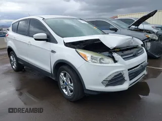 2013 Ford Escape SE с VIN 1FMCU9GX5DUD02984, выставлен на аукционе IAAI как лот 41736226 с пробегом 153 193 миль миль и . История ставок и продаж доступна на DreamBid. Изображение 1.