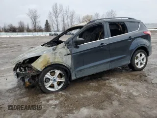 2014 Ford Escape SE with VIN 1FMCU9GX0EUC44297, listed as a Copart auction lot 43003935 with Not Provided miles and Non Repairable. Bid and sale history available at DreamBid. Image 1.