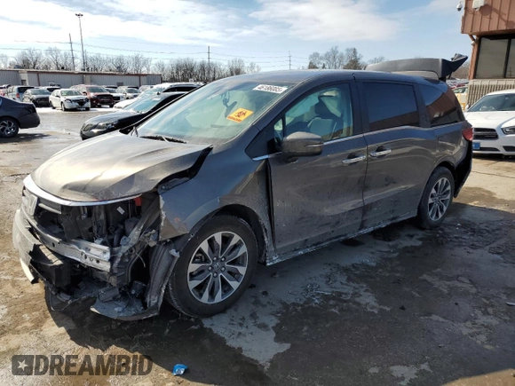 2021 Honda Odyssey EX-L with VIN 5FNRL6H70MB020405, listed as a Copart auction lot 46186085 with 61,300 mi miles and Salvage Title. Bid and sale history available at DreamBid. Image 1.