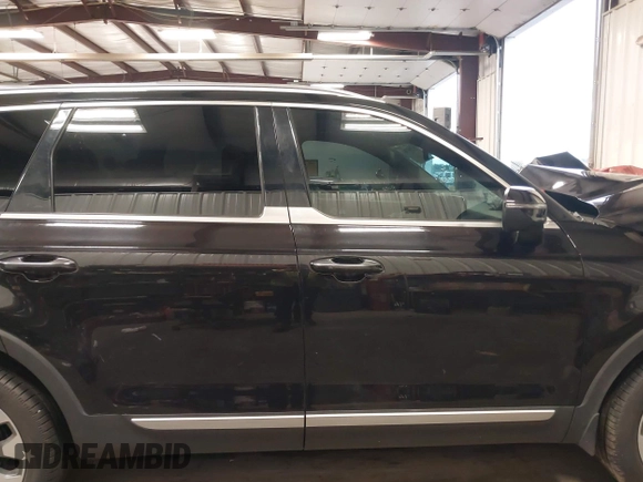 2022 Kia Telluride S with VIN 5XYP6DHC8NG281257, listed as a IAAI auction lot 41861781 with 43,905 mi miles and . Bid and sale history available at DreamBid. Image 13.