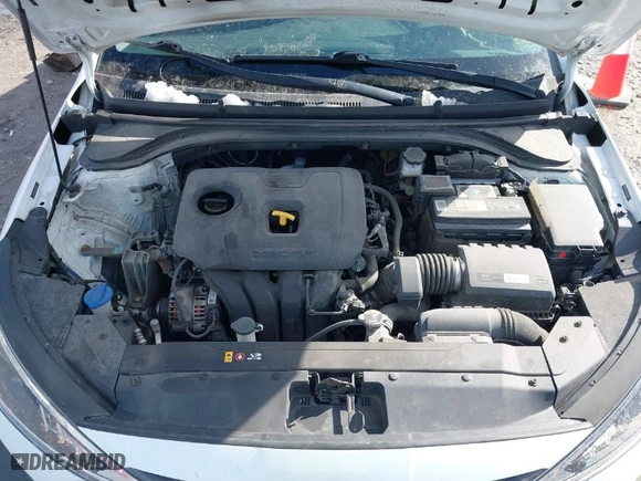 2019 Hyundai Elantra SE with VIN 5NPD74LF5KH487027, listed as a IAAI auction lot 41858905 with 144,595 mi miles. Bid and sale history available at carsss.com. Image 10.