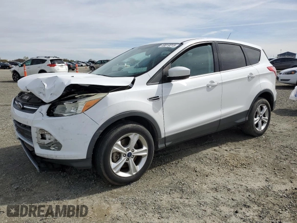 2014 Ford Escape SE with VIN 1FMCU0G93EUB17038, listed as a Copart auction lot 49819315 with 0 mi miles and Salvage Title. Bid and sale history available at carsss.com. Image 1.