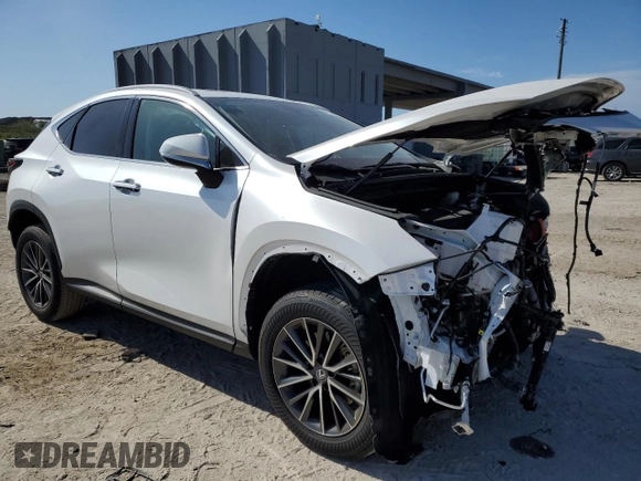 2024 Lexus NX 250 Premium с VIN 2T2GDCAZ8RC010694, выставлен на аукционе Copart как лот 41446975 с пробегом 11 118 миль миль и На запчасти • Non repairable. История ставок и продаж доступна на DreamBid. Изображение 4.