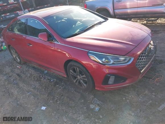 2019 Hyundai Sonata Sport with VIN 5NPE34AFXKH736229, listed as a IAAI auction lot 41355059 with 116,236 mi miles. Bid and sale history available at carsss.com. Image 1.