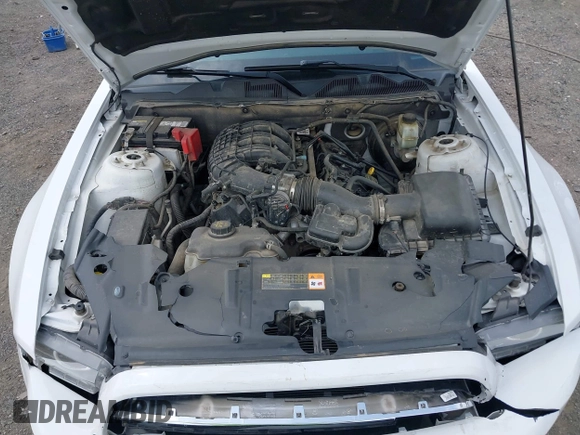 2014 Ford Mustang V6 с VIN 1ZVBP8AM2E5318701, выставлен на аукционе IAAI как лот 42265557 с пробегом 97 870 миль миль и . История ставок и продаж доступна на DreamBid. Изображение 10.