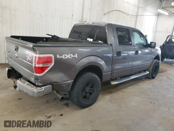 2010 Ford F-150 XL with VIN 1FTFW1EV5AKE16361, listed as a Copart auction lot 49160425 with 125,483 mi miles and Non Repairable. Bid and sale history available at carsss.com. Image 3.