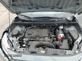 2019 Toyota RAV4 XLE with VIN 2T3W1RFV1KW051326, listed as a Copart auction lot 51323625 with 67,031 mi miles and Salvage Title. Bid and sale history available at DreamBid. Image 13.