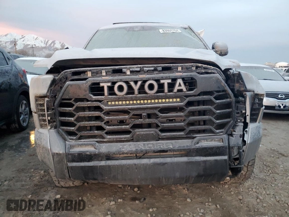 2023 Toyota Tundra Platinum with VIN 5TFNA5DB9PX128945, listed as a Copart auction lot 83960764 with Not provided miles and Salvage title. Bid and sale history available at DreamBid. Image 5.